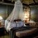 Thulani Game Lodge & Eco Estate - 181298
