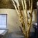 Thulani Game Lodge & Eco Estate - 181299