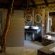 Thulani Game Lodge & Eco Estate - 181307