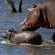 Mjejane River Lodge - 182082