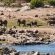 Mjejane River Lodge - 182084