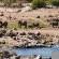 Mjejane River Lodge - 182084