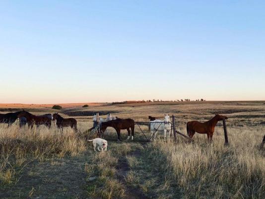 Kasteelkop Guestfarm - 182187