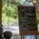 Mavela Game Lodge - 182281
