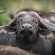 Mavela Game Lodge - 182292