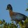 Mavela Game Lodge - 182296