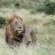 Mavela Game Lodge - 182299
