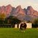 Dunstone Country House - 182350