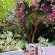Dunstone Country House - 182379