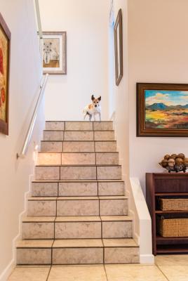 Plettenberg View Bed & Breakfast - 182471
