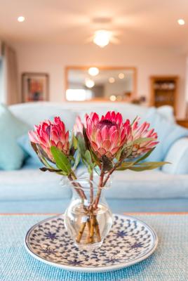 Plettenberg View Bed & Breakfast - 182515