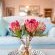 Plettenberg View Bed & Breakfast - 182515