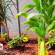 Mountain View Guest House - 183557