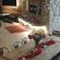 Drakenzicht Mountain Cottage - 183634