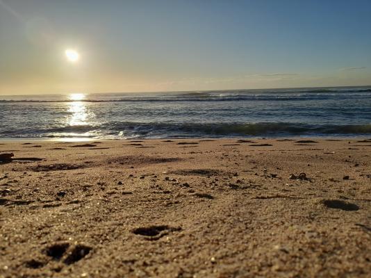 Sea Breeze Shelly Beach - 183674