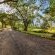 Rissington Inn - 183870