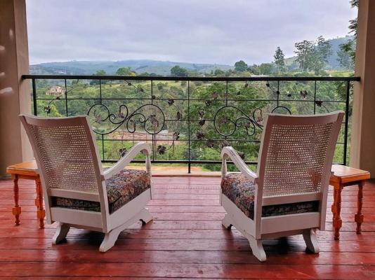 Cavalo Guesthouse - 183958