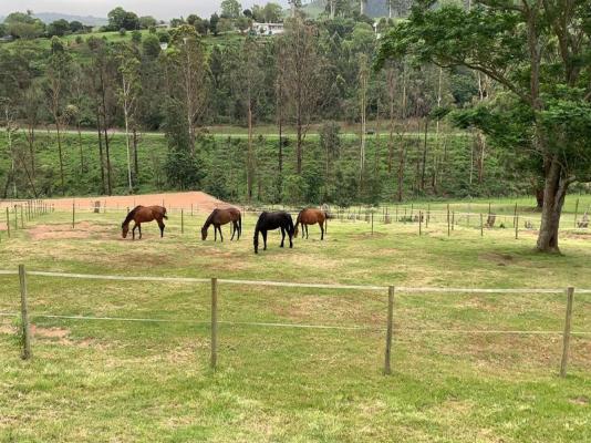 Cavalo Guesthouse - 183960
