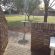 Reyneke Park - 184062