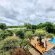 Luxury Guesthouse Co - 184220