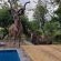 Luxury Guesthouse Co - 184234
