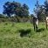 Bella's Rest Guesthouse - 184247