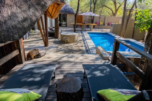 African Sky Villas - 184529