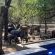 African Sky Villas - 184660