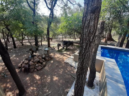 African Sky Villas - 184662