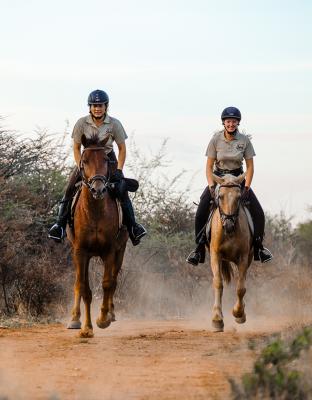 Adventure in the Saddle 