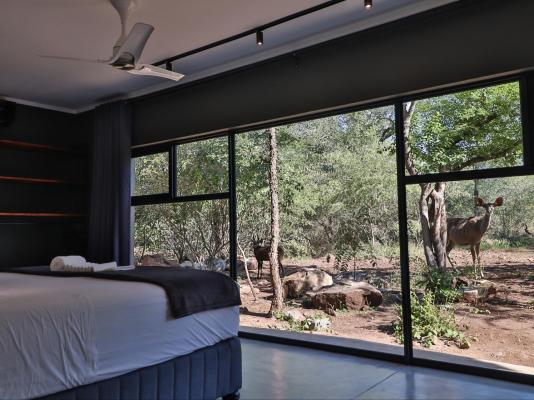 Room image 4