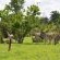 Livingstone's Camp - 184820