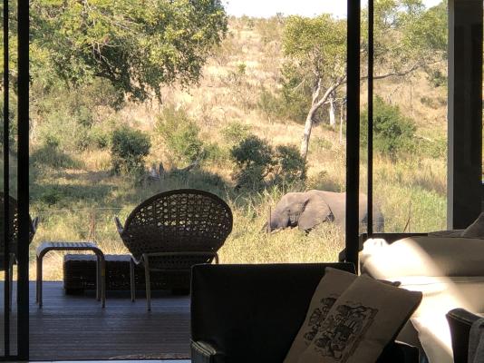 Barn Owl Lodge Mjejane Game Reserve - 184866