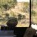 Barn Owl Lodge Mjejane Game Reserve - 184866
