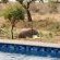 Barn Owl Lodge Mjejane Game Reserve - 184875