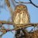 Barn Owl Lodge Mjejane Game Reserve - 184878