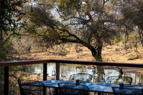 Serondella Safari Lodge - 184945