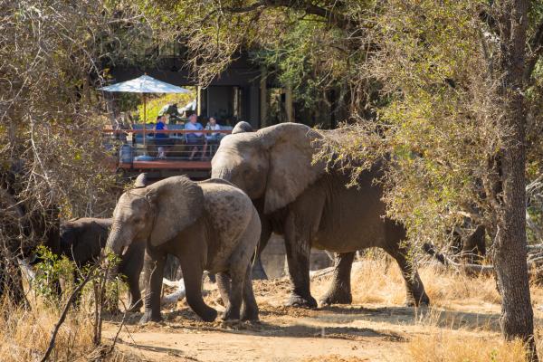 Serondella Safari Lodge - 184951