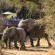 Serondella Safari Lodge - 184951