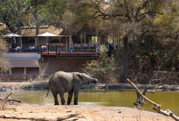 Serondella Safari Lodge - 184954