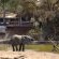 Serondella Safari Lodge - 184954