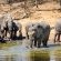 Serondella Safari Lodge - 184955