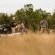 Serondella Safari Lodge - 184957