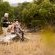Serondella Safari Lodge - 184958