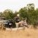 Serondella Safari Lodge - 184960