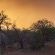Etosha Village Camp Site - 184980