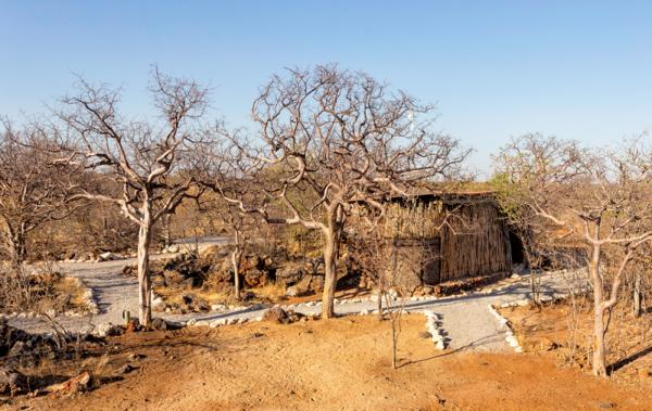 Etosha Village Camp Site - 184985