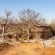 Etosha Village Camp Site - 184985
