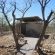 Etosha Village Camp Site - 184990
