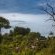 Pafuri Tented Camp - 185029